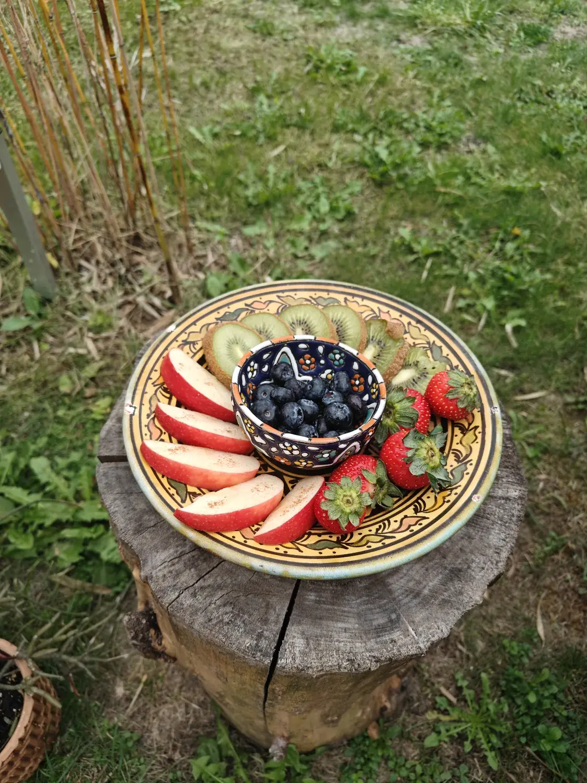 Vers fruit op een boomstronk in de tuin